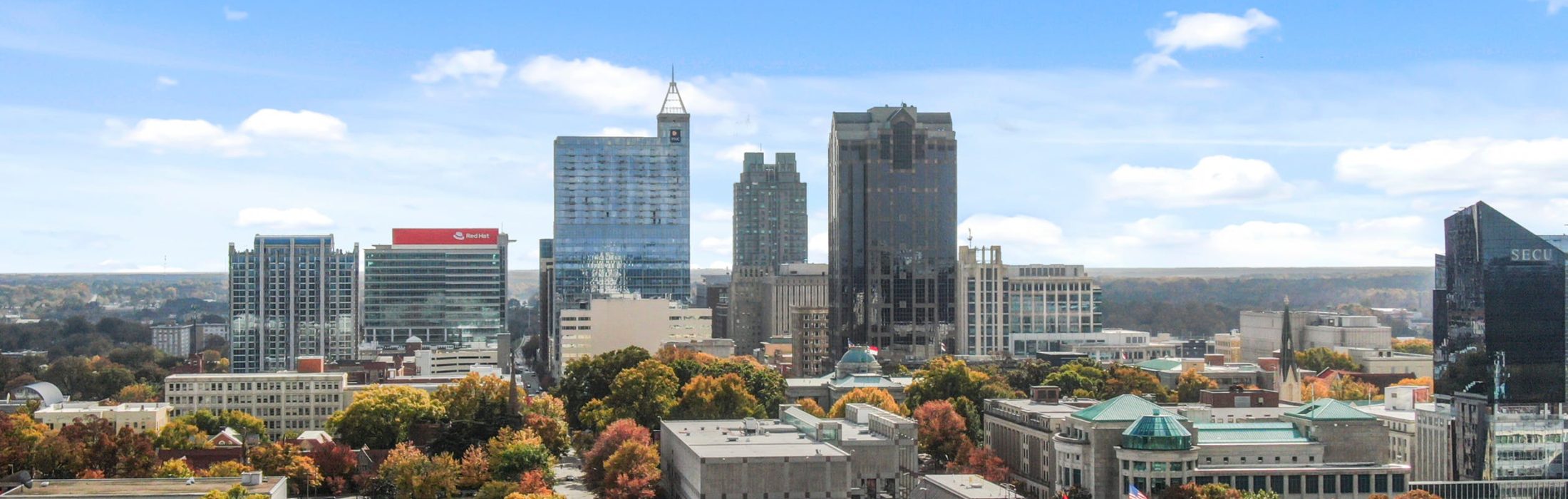 Raleigh skyline